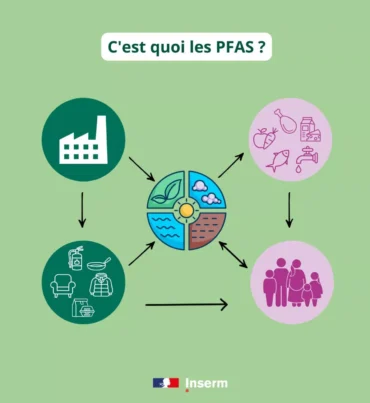 PFAS cest quoi